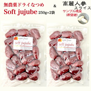 Ȃ  _ ɏhCȂ Soft Jujube 250g×2܁iv500g)yzI[KjbN L@ Ȃ ic   TQ^ VX[v Dw S t_  pge_
