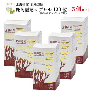 yő2500~OFFN[|zzz Tv 120 5 Zbg p JvZ ŃTv ̂ ꂢ (CV) NTvg NHi  j Tvg reishi eTv 