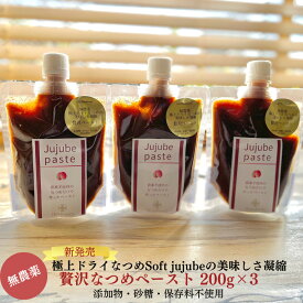 なつめペースト 200g 3個 セット 無農薬 なつめ ペースト ナツメ パンのお供 ヨーグルト トッピング パン 塗る もの ジャム 棗 オーガニック なつめ茶 ナツメ茶 有機棗 無添加 フルーツジュレ フルーツジャム パック 薬膳 妊婦 鉄分 補給 葉酸 オーガニックドライフルーツ