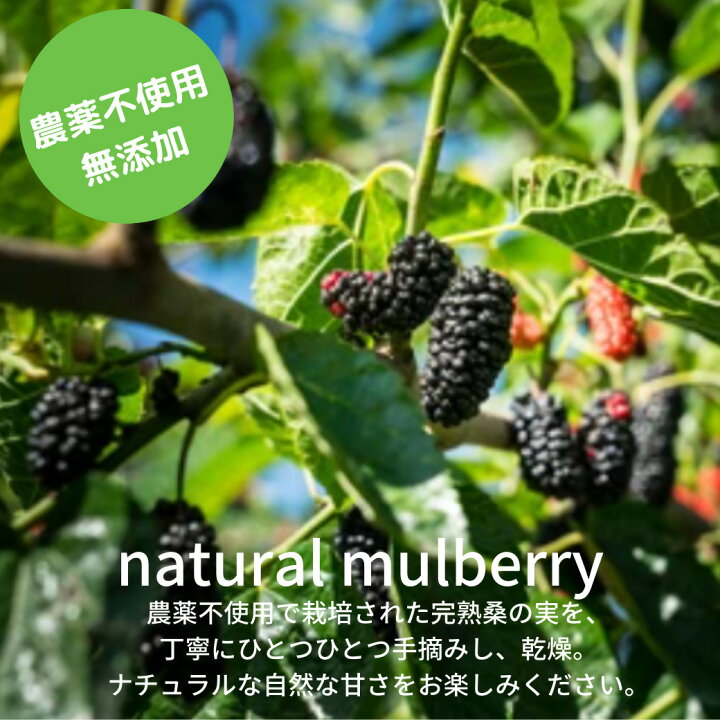 楽天市場】無農薬 桑の実 マルベリー natural mulberry 100g 砂糖不 