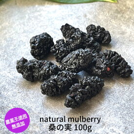 無農薬 桑の実 マルベリー natural mulberry 100g 無添加 砂糖不使用 送料無料 鉄分 アントシアニン ビタミン 桑椹