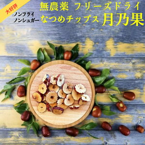 t[YhC Ȃ߃`bvX TʁiTSUKINOKAj100g _Ew엿 mVK[ mtC IȂ {H