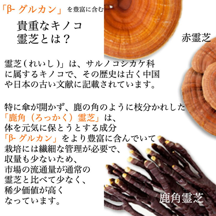 楽天市場】旺煌 鹿角霊芝カプセル120粒 北海道産 1ヶ月分」と「大人気 