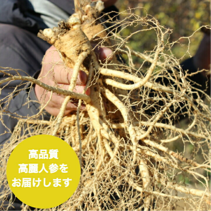 楽天市場】高麗人参 乾燥 1kg 6年根 韓国 スライス 1キロ 韓国食材 薬  