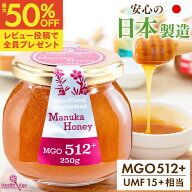 【クーポンで1個3826円、2個以上で1個2740円】日本製造 マヌカハニー MGO512+ 250g UMF15+相当 送料無料 …