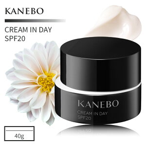 Jl{E N[ C fC 40g SPF20PA+++ Ki N[ Ϗn 邨ێ c