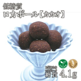 12個入り ロカボール カカオ 1袋 冷蔵便 | 低糖質食品 低糖質スイーツ 大豆 グルテンフリー 焼き菓子 低GI 老化防止 リラックス 冷蔵便 ※冷凍便と同梱可