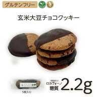 ヴィーガン・グルテンフリー 玄米大豆チョコクッキー(5枚入り) 1袋 宅急便 |糖質制限 スーパーフード カ…