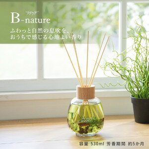 B-nature@[hfBt[U[530ml [@F@