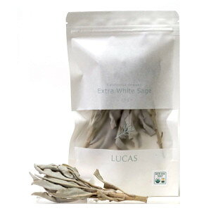 yLUCASK̔XzGNXgEzCgZ[W LUCAS