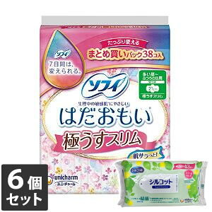 yȂVRbgEFbgv[gz6Zbg jE`[ \tB ͂ ɂX `ӂ̓p H 21cm 38R