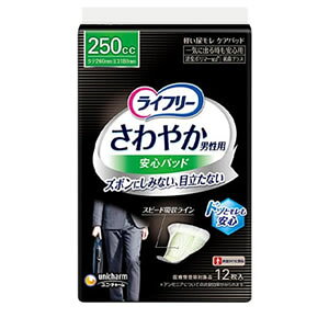 yizjE`[@Ct[₩pbhjpCɏo鎞Sp 250cc 12yCt[z[J[sɂpbP[WAfUCύXƂȂꍇ܂