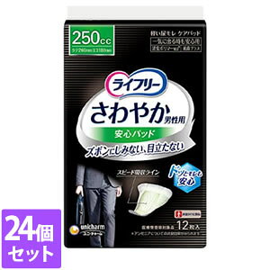 24Zbg@jE`[@Ct[₩pbhjpCɏo鎞Sp 250cc 12yCt[z[J[sɂpbP[WAfUCύXƂȂꍇ܂y