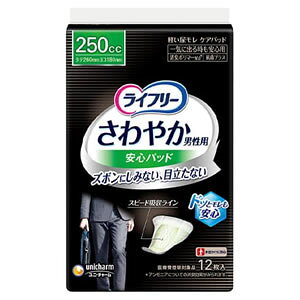 jE`[@Ct[ ₩pbh jp 250cc Cɏo鎞Sp 26cm(18)AƂ Apbg A z pi