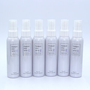 [] J^CU[ ~XgXv[6{ J^CU[21 99.5% {YtXGLXt Ƃ VA}99.5% VR ~Xgϐ  F ICEpyEAR