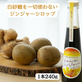 ランキング1位獲得！らかんかジンジャーシロップ ジンジャーシロップ らかんか顆粒　ラカンカ 白砂糖不使用 らかんか 生姜湯　糖質制限 ダイエット ノンカフェイン 食品添加物無添加 生姜シロップ 冷え対策　冷え性　温活　黄金しょうが　高知県産　生姜しょうが