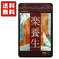 楽養生 90錠 ( 30日分 ) 養生仙薬研究所 サプリ サプリメント 歯周病薬 歯痛 歯肉炎 歯茎 ［指定医薬部外…