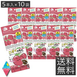  r^bgWp IN``F[ 5{ ×10 }EXEHbV L PA mAR[ t 