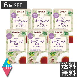 日東紅茶 オーガニック紅茶 アールグレイ ティーバッグ 20袋入り×6個セット【日東紅茶】送料無料