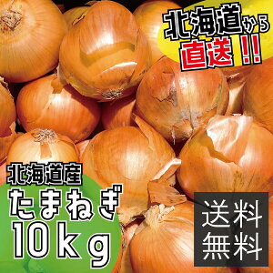 kCY ܂˂ yʍ͔|_앨z 10kg iMTCYjkC ʂ˂ ʍ͔| S S