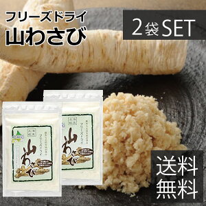 北海蝦夷 山わさび 18g ×2袋セット(フリーズドライ・粉末タイプ) 送料無料【ネコポス便 追跡可能メール便】1000円 ポイント消化に TKSタングロン