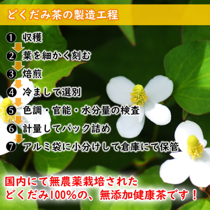 楽天市場 兵庫県産 どくだみ茶 3g 30pc 無農薬 国産 ドクダミ茶 ティーバッグ 送料無料 ヘルシーカンパニー