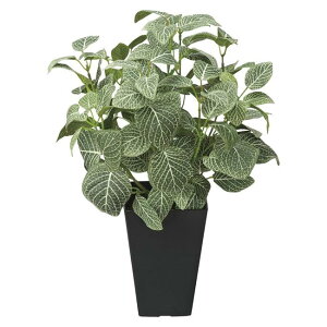 ���̊y��(2026�N��) �t�B�b�g�j�AS �i�ԁF230A50 �����F43cm - �A�[�g�N���G�C�V���� [���G�}/�l�H�ϗt�A��]