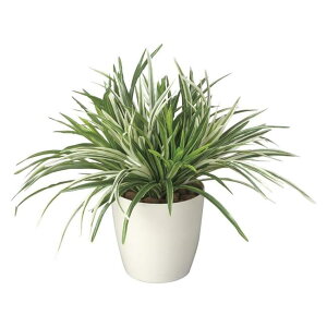 ̊y(2025N) hZi~bNX iԁF240A70 F38cm - A[gNGCV [G}/lHϗtA]