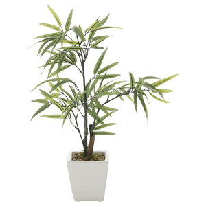 ̊y(2025N) | iԁF238K35 F35cm - A[gNGCV [G}/lHϗtA]