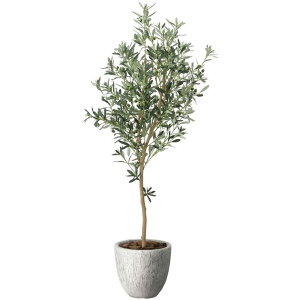 ���̊y��(2026�N��) �i�`�������I���[�u �i�ԁF2649A620 �����F160cm - �A�[�g�N���G�C�V���� [���G�}/�l�H�ϗt�A��]