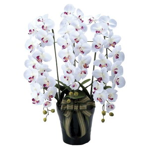 ̊y(2025N) CӒL iԁF310A200 F80cm - A[gNGCV [G}/lHϗtA]