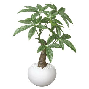 ���̊y��(2025�N��) �p�L���|�b�g �i�ԁF386A30 �����F27cm - �A�[�g�N���G�C�V���� [���G�}/�l�H�ϗt�A��]