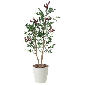 ̊y(2025N) V iԁF405B200 F130cm - A[gNGCV [G}/lHϗtA]