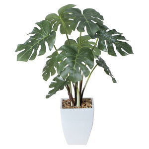 ̊y(2025N) Xe|bg iԁF433A60 F40cm - A[gNGCV [G}/lHϗtA]