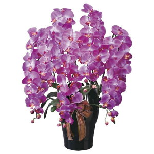 ̊y(2025N) CӒ5{L iԁF446A300 F80cm - A[gNGCV [G}/lHϗtA]