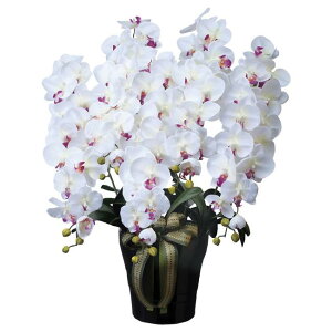 ̊y(2025N) CӒ5{W/AB iԁF447A300 F80cm - A[gNGCV [G}/lHϗtA]