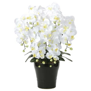 ̊y(2025N) LOӒ7{W iԁF451A200 F76cm - A[gNGCV [G}/lHϗtA]