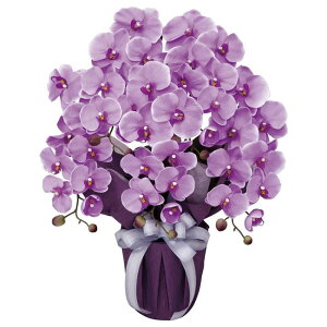 ̊y(2025N) GKgӒL iԁF453A80 F64cm - A[gNGCV [G}/lHϗtA]