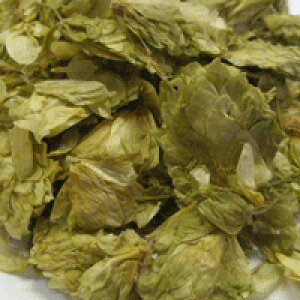 �J���X �z�b�v �z�[�� WH 100g (�i�ԁF4601) - �J���X����