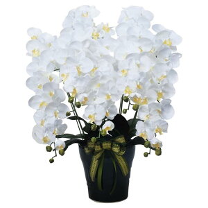 ̊y(2025N) CӒ5{ W iԁF532A300 F80cm - A[gNGCV [G}/lHϗtA]