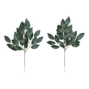 ̊y(2025N) 召4{Zbg iԁF96K22 F36cm - A[gNGCV [G}/lHϗtA]