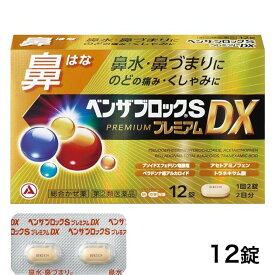 【第(2)類医薬品】 ベンザブロックSプレミアムDX 12錠 - アリナミン製薬 [セルフメディケーション税制対象] ※ネコポス対応商品 [風邪薬/鼻水]