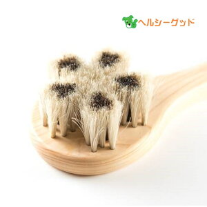 A[guV nу{fBuV  Cu - r[GP[