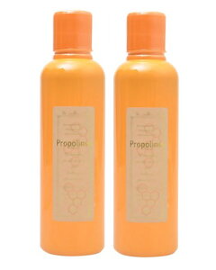 v|X 600ml×2{Zbg - sGX