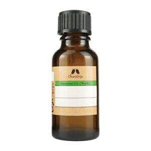 JX NW  IC 20ml (iԁF2095) - JX [A}IC/GbZVIC]