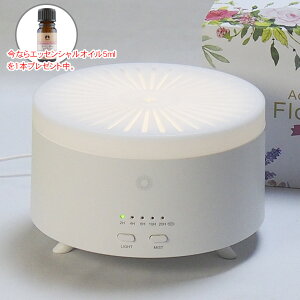 JX ANAu[YFlora ni (iԁF3070300) - JX A}ICv[gt