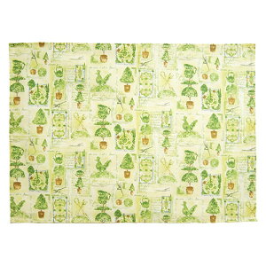 JX {^jJA[gV[Y eB[^I CA1219 }i[nEXK[f (iԁF570419) - JX