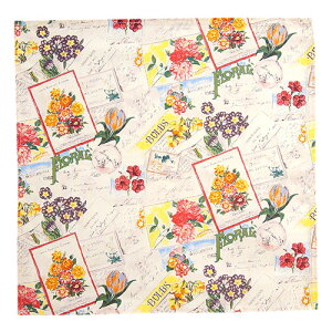 JX {^jJA[gV[Y ivL FD0811 K[fjOt[ (iԁF570711) - JX