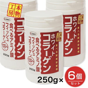 zCgR[Q 250g×6Zbg - R{ [tBbVR[Q/ᕪqR[Q]