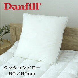 ダンフィル Danfill フィベール クッションピロー 60×60cm - アペックス